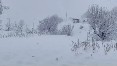 Bir İlimizde Okullar 1 Gün Tatil Edildi