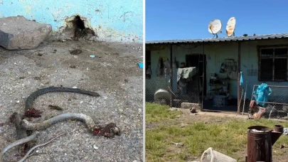 Yılan Avlarken Dehşet Saçtı