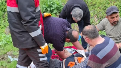 Sivas'ta Mantar Avında Dehşet: Ayı Saldırısına Uğradı