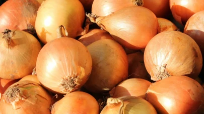 Kuru Soğanda Gümrük Vergisi Oranı %5’e Düşürüldü