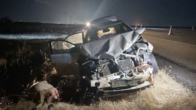 Şanlıurfa'da Otomobilin Koyun Sürüsüne Çarpması Sonucu 3 Kişi Yaralandı