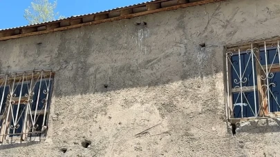 Evin Her Yerinden Fışkırıyorlar