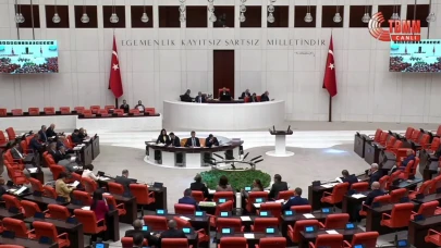 TBMM'de Deniz Göktaş Kavgası