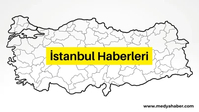 İstanbul'da Viyadük Ayağında Mahsur Kalan Keçi Kurtarıldı