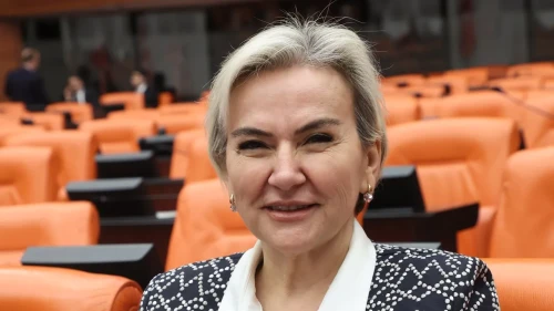 Nimet Özdemir: 11 İlde Çocuk İzlem Merkezi Yok