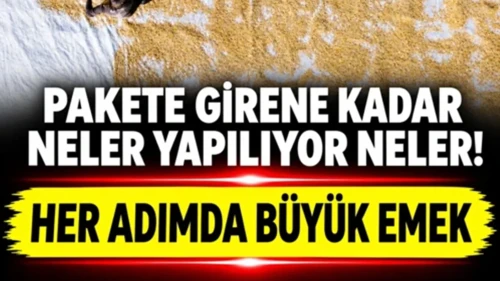 Kayseri'de Kabak Çekirdeğini Kurutma Mesaisi Başladı