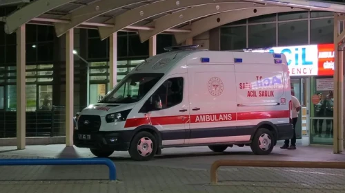 Babasını Bıçaklayarak Öldürdü