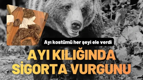 Ayı Kostümünün Altından Dolandırıcılık Çıktı