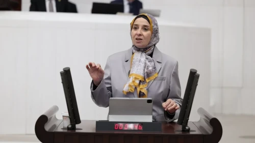 DEVA Partili Elif Esen: 15 Yaş Sınırı Yeterli Değil