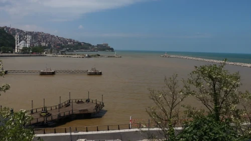 Zonguldak'ta Çamur İstilası: Karadeniz Kahverengiye Büründü