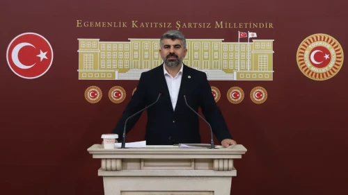 Faruk Dinç Başıboş Köpek Sorununu Meclis’e Taşıdı