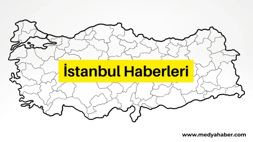 İstanbul'da Viyadük Ayağında Mahsur Kalan Keçi Kurtarıldı