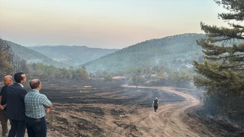 Bolu Göynük'teki Orman Yangını Kontrol Altına Alındı
