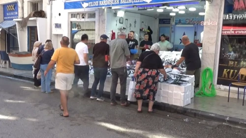Sinoplu Balıkçılar Sezona Hareketli Başladı