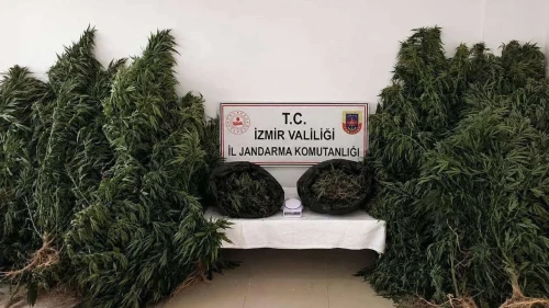 İzmir Kiraz'da Yasaklı Madde Operasyonu