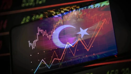 27-29 Dönemini Kapsayan OVP Resmi Gazete'de
