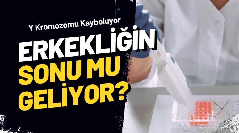 Erkek Cinsiyetini Belirleyen Kromozom Yok Olabilir