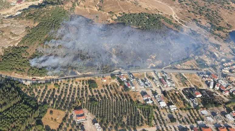 İzmir Dikili'de Çıkan Yangın Kontrol Altına Alındı