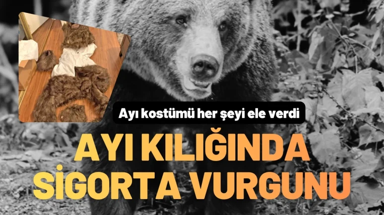 Ayı Kostümünün Altından Dolandırıcılık Çıktı
