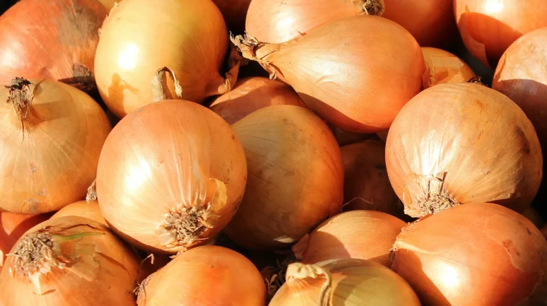 Kuru Soğanda Gümrük Vergisi Oranı %5’e Düşürüldü