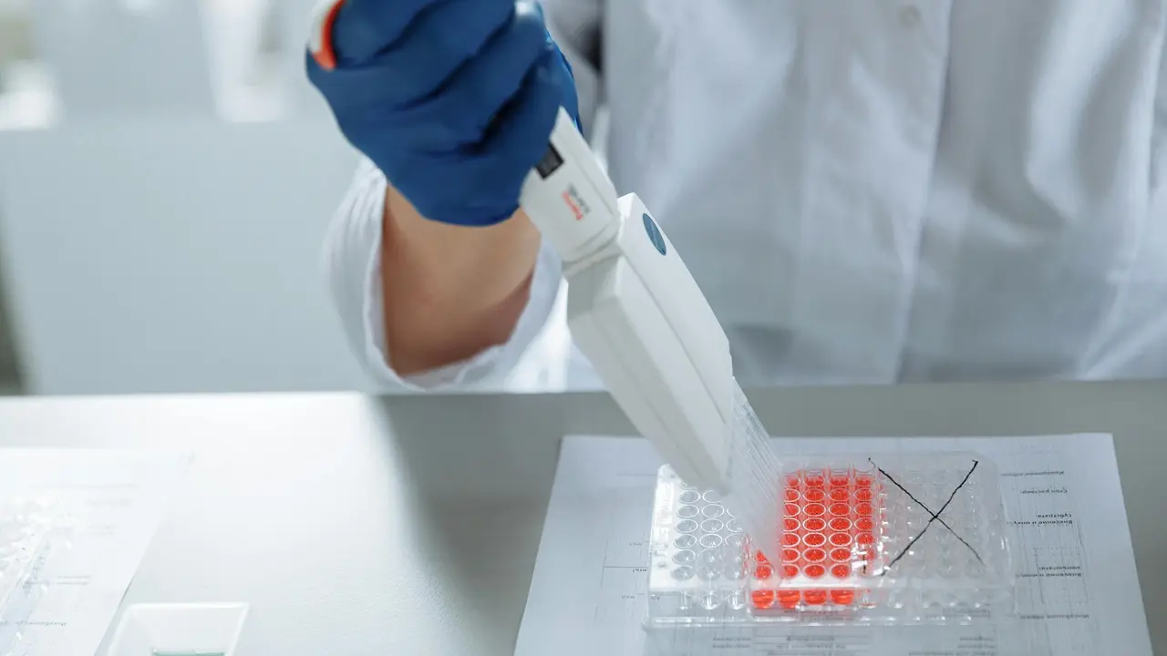 Erkek Cinsiyetini Belirleyen Y Kromozomu Yok Olabilir