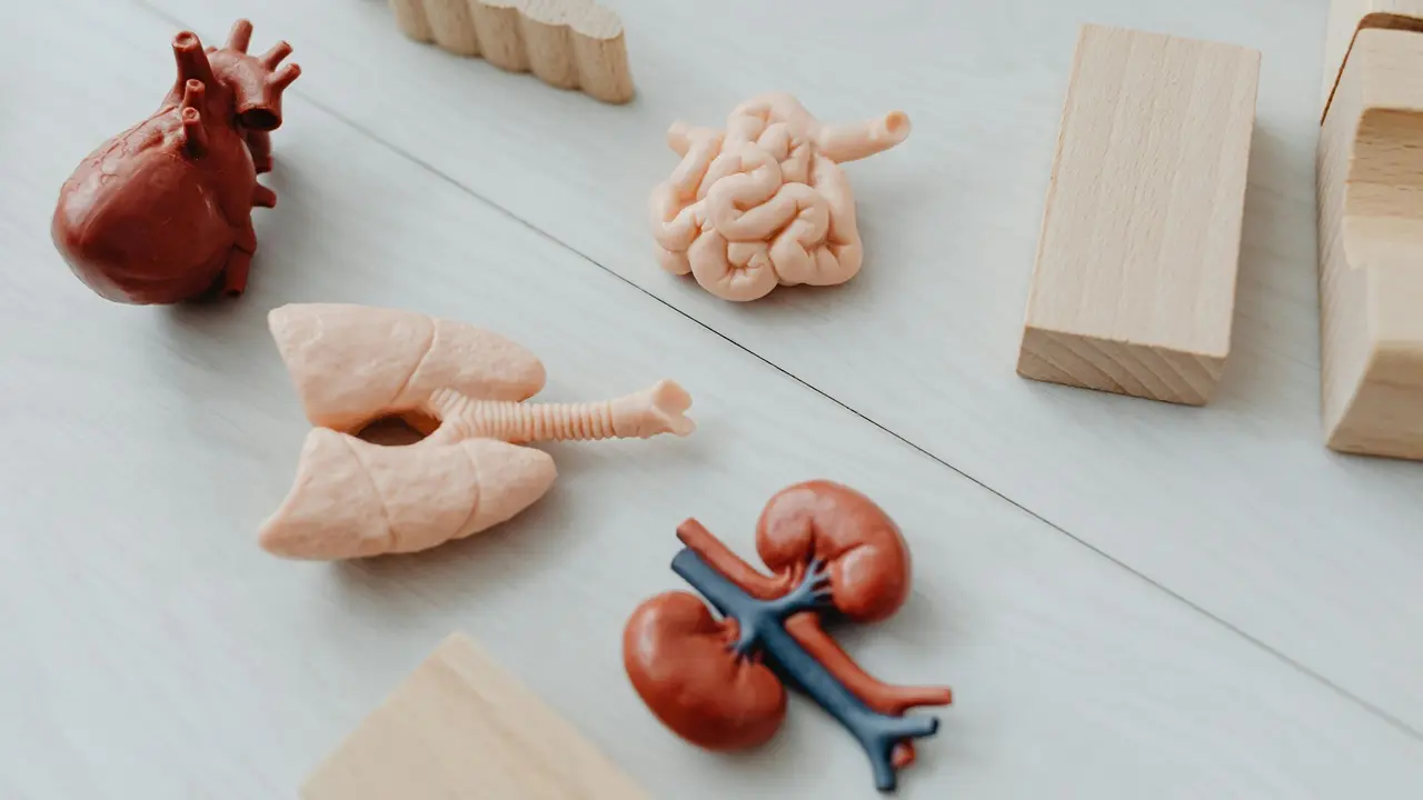 Akciğer Kanseri Neden Olur