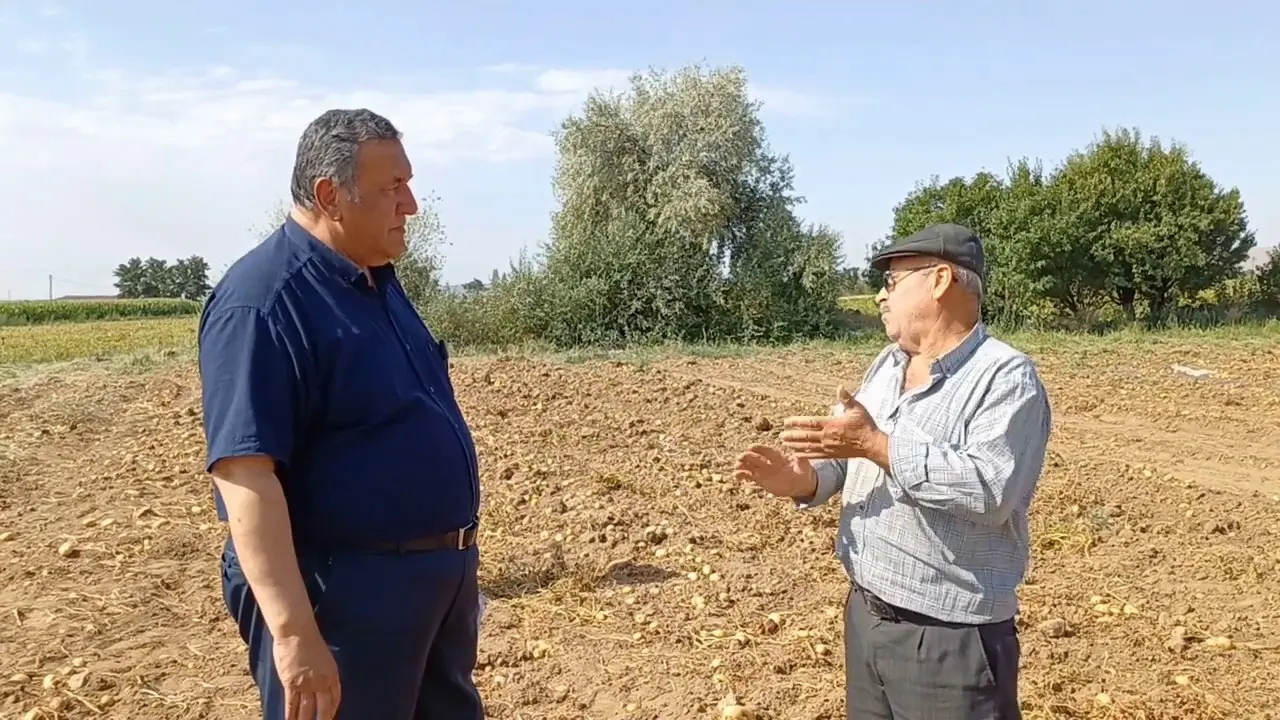 PATATES TARLASINDA KRİZ DERİNLEŞİYOR