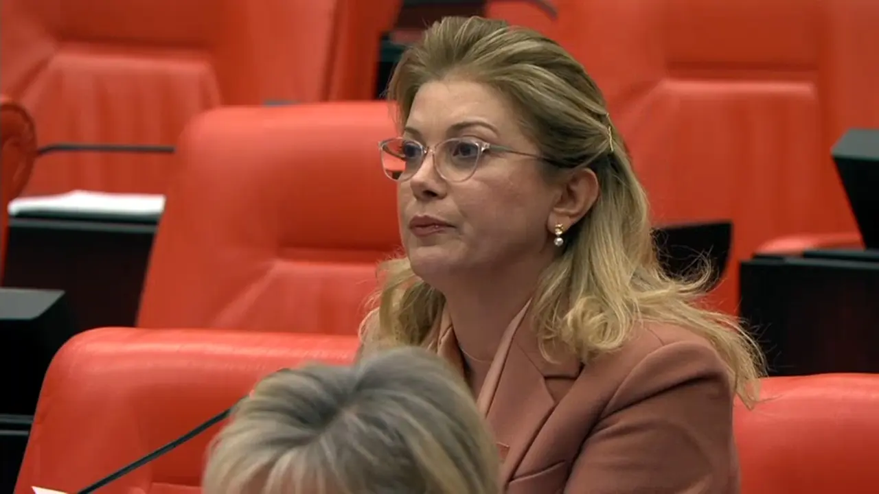 CHP Osmaniye Milletvekili Asu Kaya