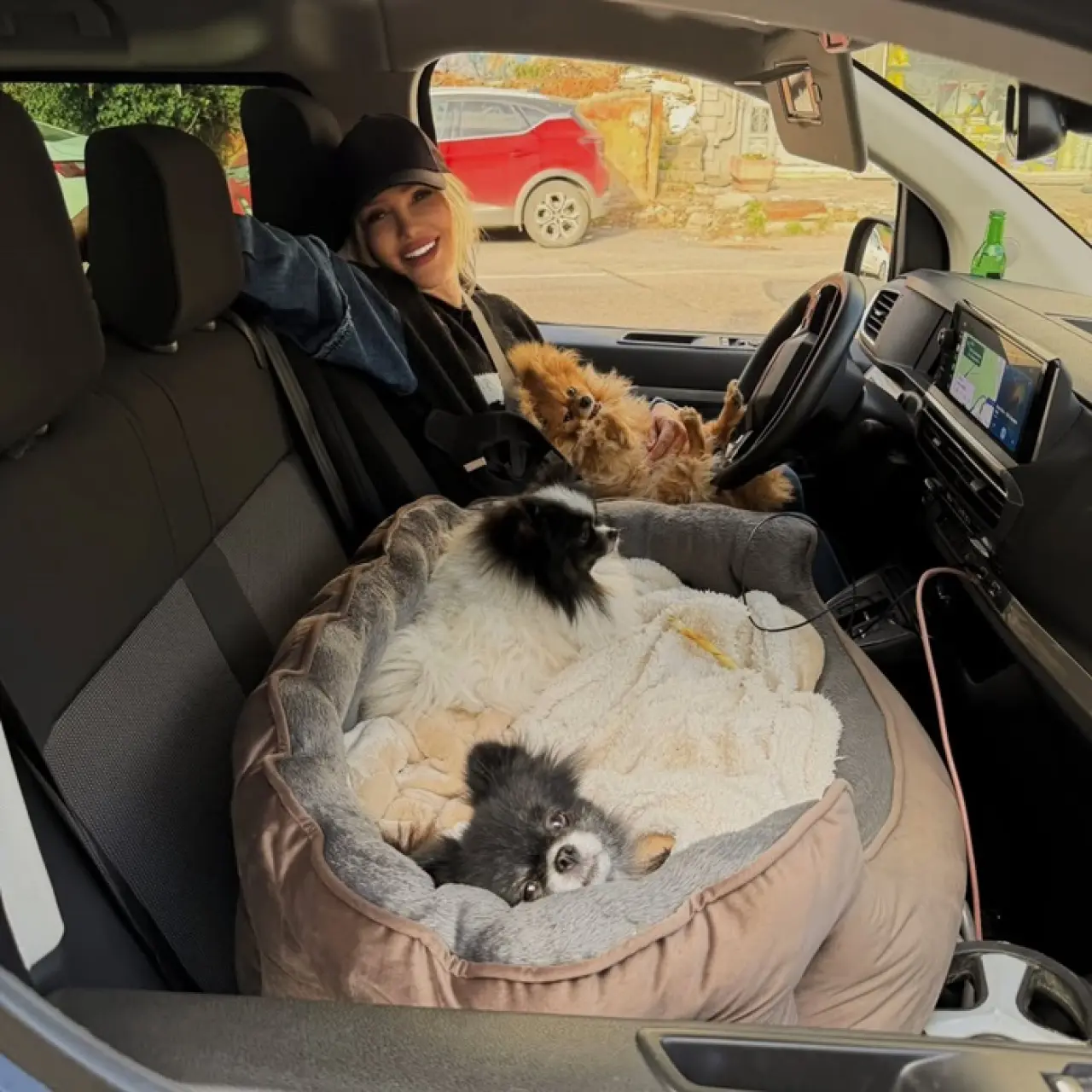 Seren Serengil Köpekleri İçin İstanbul’u Terk Ediyor