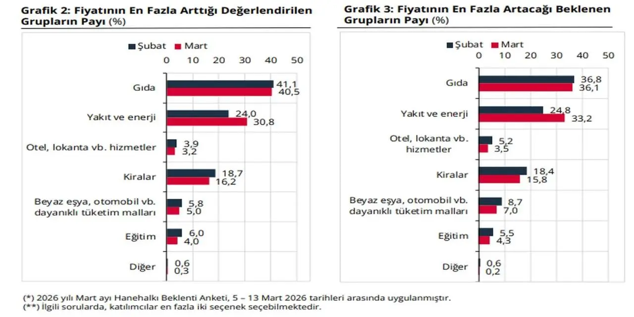 merkez bankası gıda fiyatları beklentisi