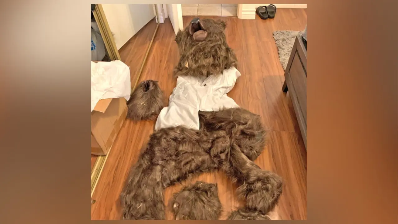 Ayı Kostümü Giyip Araçlara Zarar Verdiler