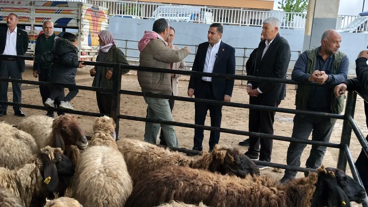 Ferhat Karadağ Hayvan Pazarında Tablo Endişe Verici