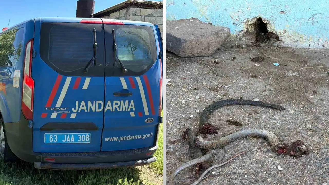 Şanlıurfa'da Yılan Avlarken Dehşet Saçtı! 5 Kişiyi Tüfekle Vurdu